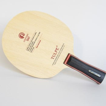 Racketstamme offensiv Tulpe Century (Kotakutu)