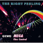 GEWO Mega Flex Control